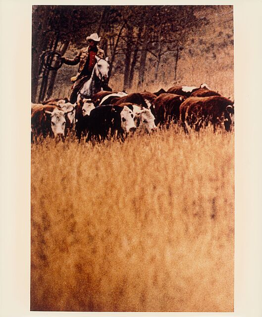 Untitled (Cowboy), aus der Mappe „Cowboys and Girlfriends“